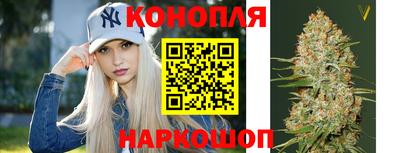 бошки Волгодонск