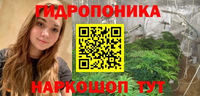 бошки Волгодонск