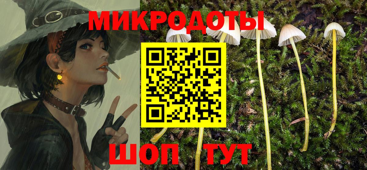 Новозыбков  Галлюциногенные грибы MAGIC MUSHROOMS  Вход с VPN 