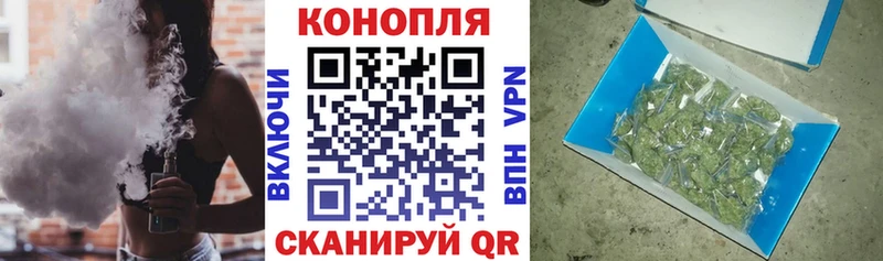 Конопля план  Новозыбков 